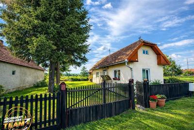 FILM! Casa pitoreasca + anexe + 1.500mp teren, Santionlunca, Covasna - 1