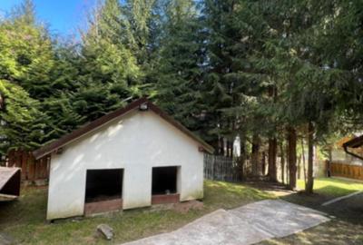 REFUGIU DIN INIMA NATURII,CASA  DE VANZARE ,144mp COMANDAU/ COVASNA - 5