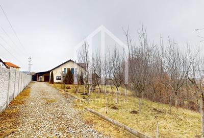 Casa individuala, 4 camere si teren de 921 mp - livada - 37
