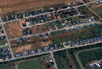 Tamasi, Corbeanca – teren 9838 mp - 3