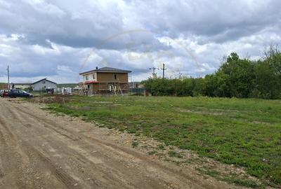 Teren Construcții intravilan de 500 mp, în Smeura