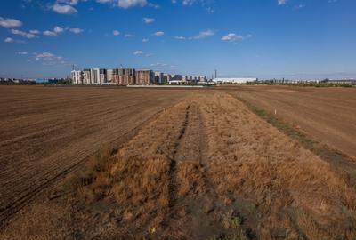 Berceni - Drum Dealu Crișului - INVESTITIE - 7 500 mp - 2