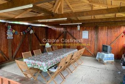 PENSIUNE 8 UNITATI DE CAZARE - COSTINESTI - 31