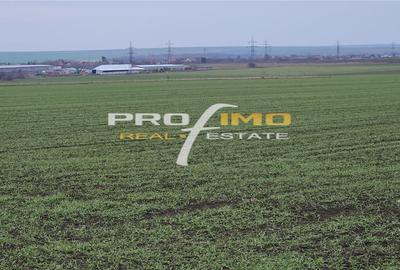 Plaja Corbu-Teren 4200mp. la numai 8 euro /mp. Soseaua asfaltata - 10