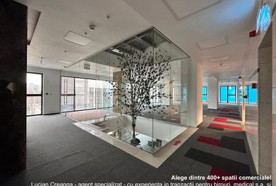 Birou, 484 mp în Central