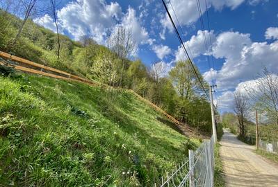 Teren vedere panoramică lac Paltinu si dealuri împădurite in Valea Doftanei - 12