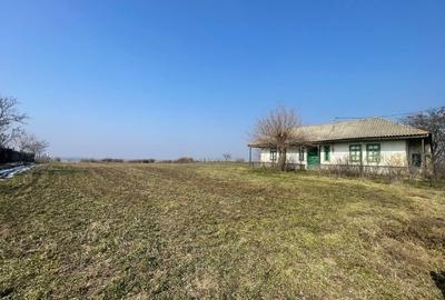 Teren pretabil Investitie in Comuna Daieni Bratul Macin Dunarea Veche Ostrov - 6