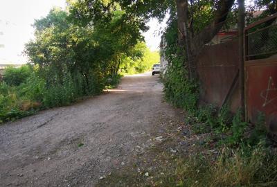 Central . 1200 mp la 1,4 km din Podu de Fier , toate utilitatile 191 EURO / MP - 2