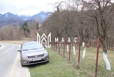Pământ I Fereastră către Eternitate în  Transilvania - 16