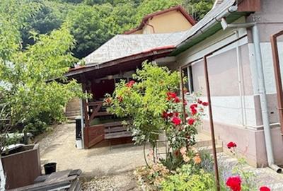 ZONA PARC - Valea Rosie (sus) casuta + vila cu teren 834mp finisate! - 26
