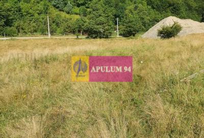 Teren Județul Vâlcea - Brezoi, Valea lui Stan - 31