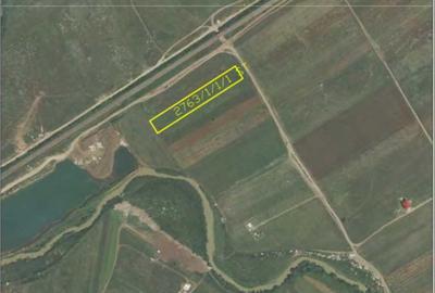 Teren 6000mp*Domnesti*Salciei-Haltei-Ciocarliei*Drum asfaltat cu utilitati - 11