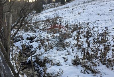 Teren 2,833mp Vatra Dornei / None - 1