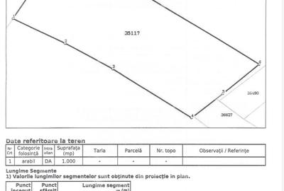 Teren 1000 mp Adunații-Copăceni (Dărăști-Vlașca)-Giurgiu - 3