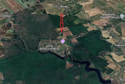 TEREN INTRAVILAN 17.714 MP – SCROVIȘTEA / BĂLTENI – LÂNGĂ PĂDURE - 10