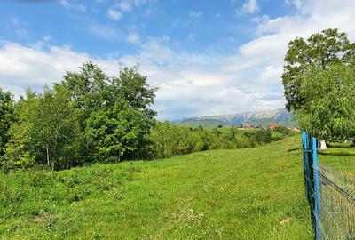 Teren pentru casa de vacanta , Pestera , Brasov - 10
