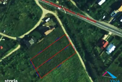 Hemeiusi (Parcul Dendrologic) lot de teren 1300mp cu utilitatile . - 1