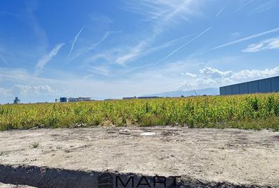 Teren Construcții intravilan de 9000 mp, în Vest