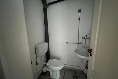 Caransebes, Garsoniera Mobilata, Balta Sarata - 5