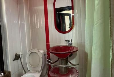 DUPLEX LA INTRARE IN MOSNITA NOUA - 29