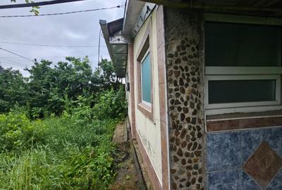 Casa Vladiceni - - 6