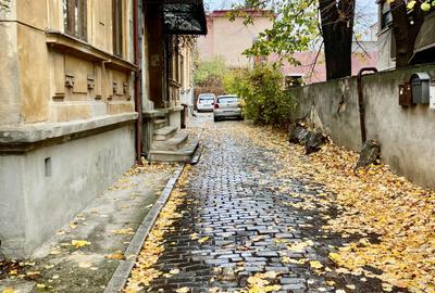 Ultracentral Piata Romana - in casa interbelica- pet friendly - 10