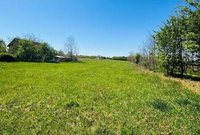 Teren Construcții intravilan de 3800 mp, în Alparea