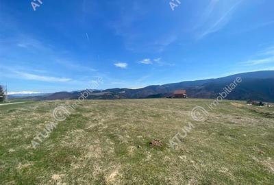 Teren intravilan de 3000 mp cu utiltati si PUZ in Paltinis Judet Sibiu - 8