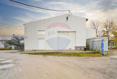 Hala industrială – investiție stabilă sau potențial operațional - 7