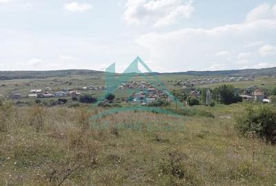 Oportunitate investiție! Teren extravilan în Corușu! - 1