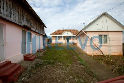 Casa si teren 3365mp Sascut - 2