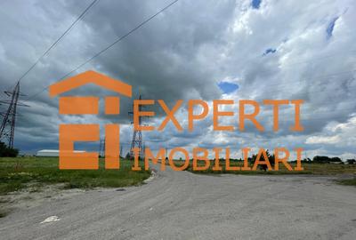 Teren Construcții intravilan de 31094 mp, în Zona Industrială