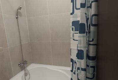 Apartament 2 camere Palas - Zimbrului - 8