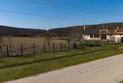 Loc de casă în Odvoș - Conop 3000mp - 7