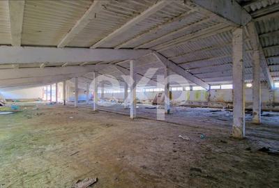 Hala industriala 2000 mp + teren 2776 mp | Rasnov – zona industriala Chimica - 7