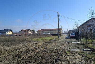 Vanzare Teren intravilan Stefanesti - Primarie str. Campului - 6