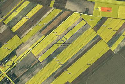 Teren agricol extravilan – Rătești, Argeș - 1