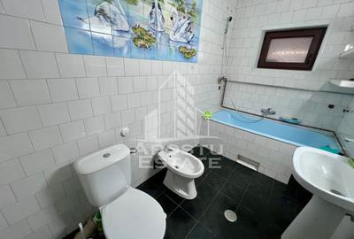 Apartament de inchiriat la parter, 3 camere,  Aradului, Timisoara - 11