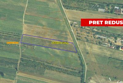 Oportunitate de investitie! Teren intravilan Maracineni 7545 mp - 1