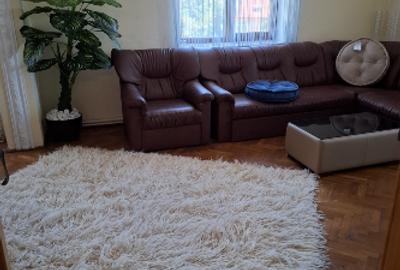 Apartament în vila, 3 camere, zona Universitate-Scoica - 13