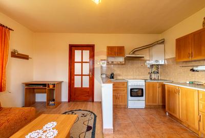 Casa de vanzare Jucu de Mijloc, Zona Panemar Teren intravilan 3301 mp - 8
