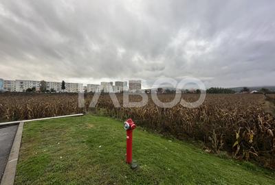 Teren intravilan de vanzare 10000 mp cu utilitati in apropiere - 3