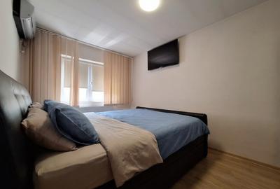 Apartament spatios cu 2 dormitoare, renovat si mobilat-Aradului - 11