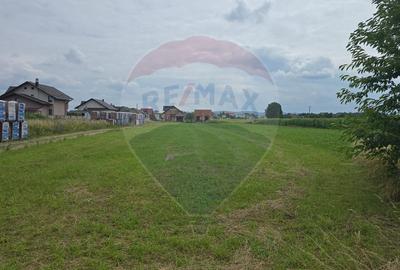 Teren 1,791mp Radauti / Strada Caramidariei - 1