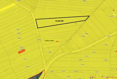Teren extravilan 10.000 mp situat pe UAT Sibiu / zona Dealul Daii - 2