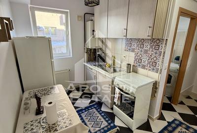 Garsoniera de închiriat ,Sagului, Timișoara - 3