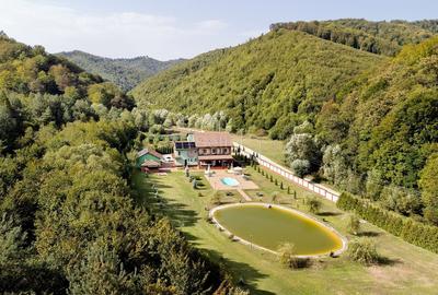 Proprietate Deosebita - Liziera Padurii - 33