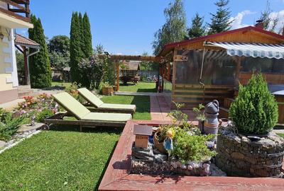 CASA VACANTA-zona pitoreasca minunata - 20