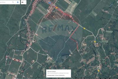 Teren Bran -Sohodol, Strada La mesteceni, 6900mp - 17