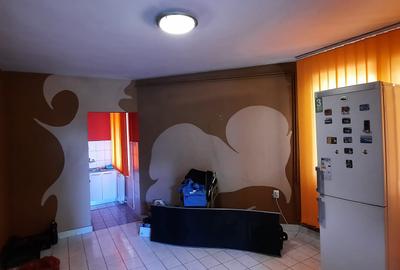 De vanzare casa 5 cam, singur in curte, Cal. Voinicenilor, Zona Horgosa - 17